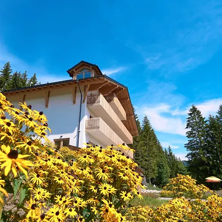 Hotel Lesehotel Bad Goisern